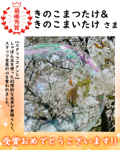 🌸フォトコンテスト受賞作品発表👑