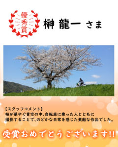 🌸フォトコンテスト受賞作品発表👑